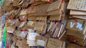 stacks_image_5A029F14-CE84-46D8-B082-3AE8E51EB614